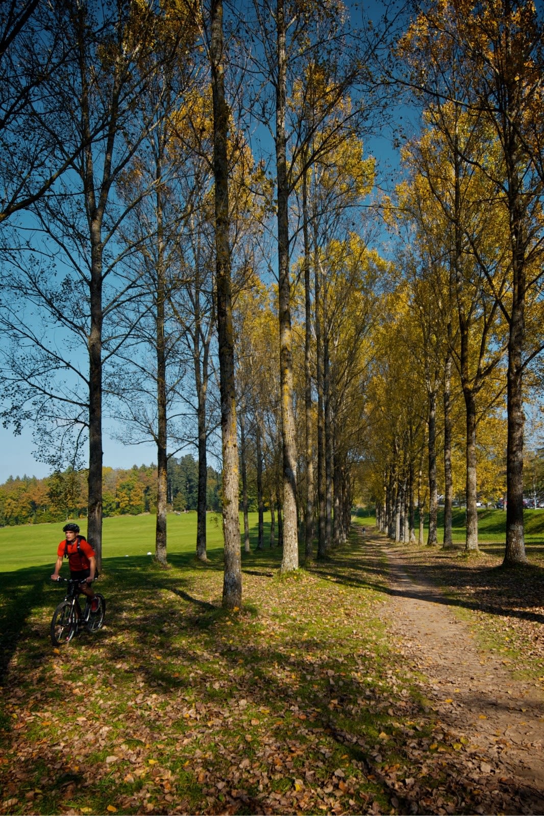 Les endroits où se rafraîchir à Lausanne - © En velo dans les bois du Jorat