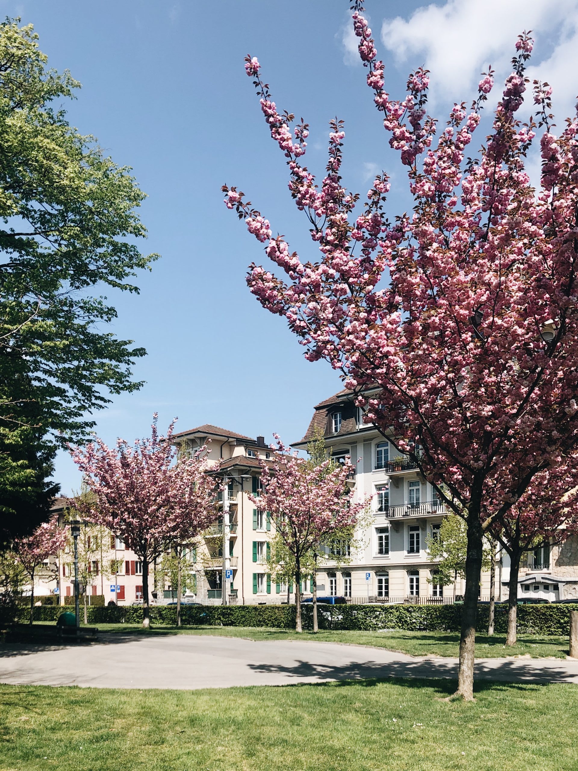 Lausanne, ville nature - © 