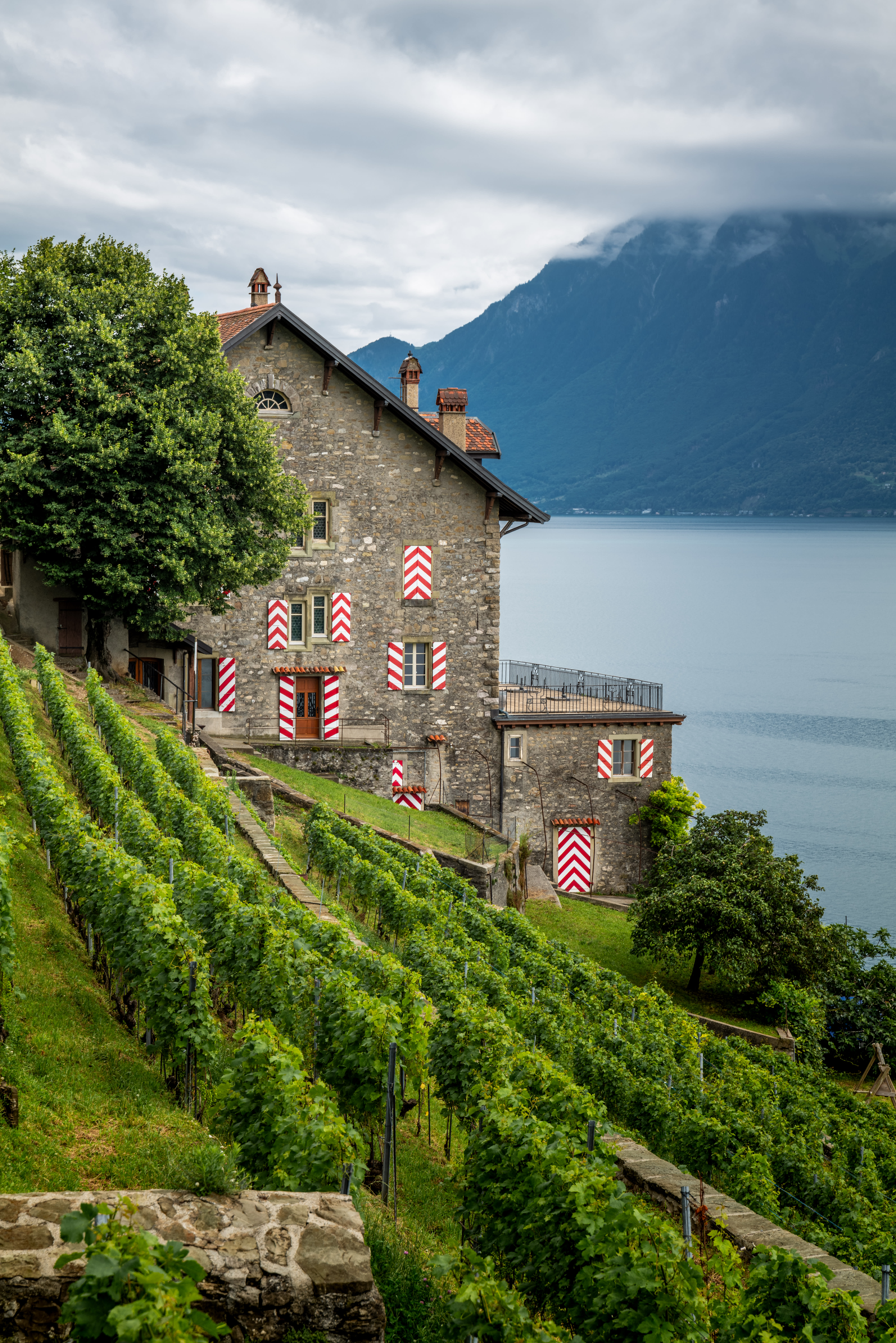 De Lausanne à Lavaux : mon itinéraire à vélo électrique - © 