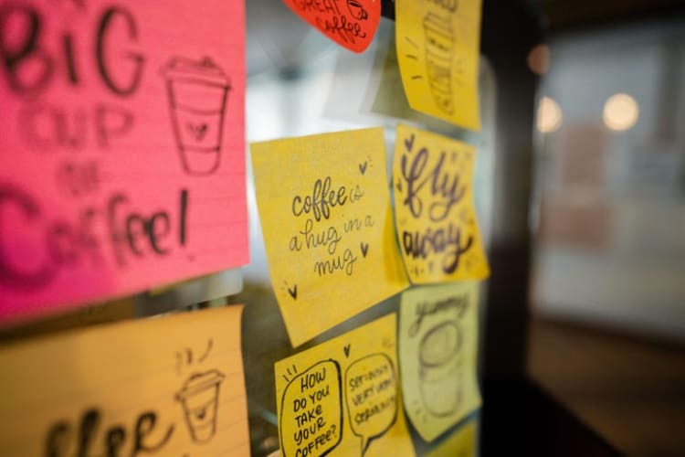 undefined - © Sleepy Bear