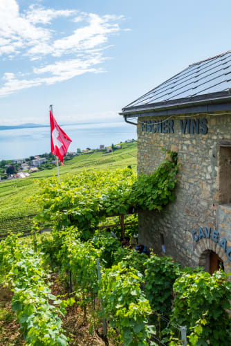 [Lausanne] Lavaux-14 - © [Lausanne] Lavaux-14
