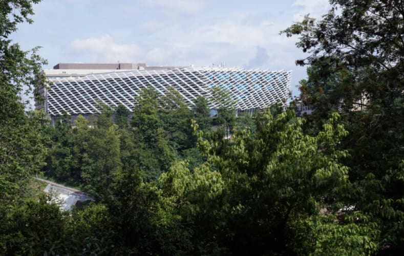 undefined - © Pole AGORA de recherche sur le cancer