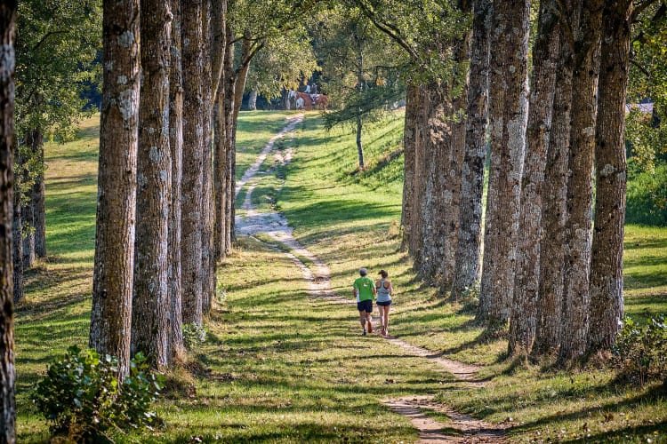 Balade à cheval et jogging dans les bois - © LT/ Laurent Kaczor
