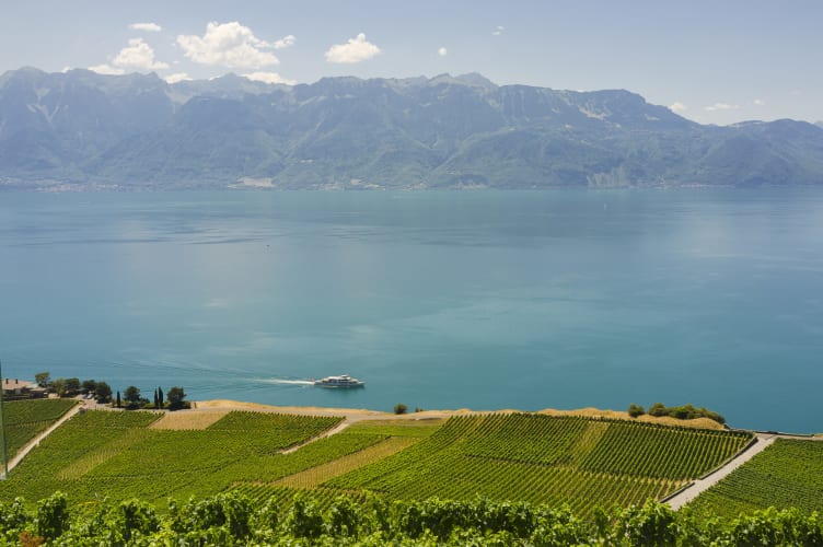 Vue sur le Lac Leman et les Alpes depuis Chexbres - © Vue sur le Lac Leman et les Alpes depuis Chexbres