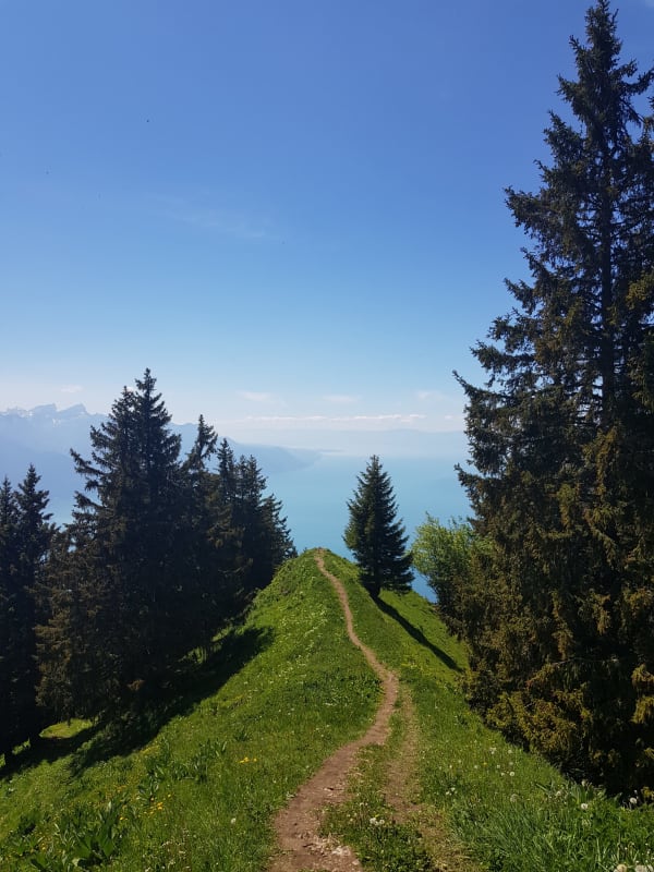 Les Rochers-de-Naye - © Lausanne Tourisme