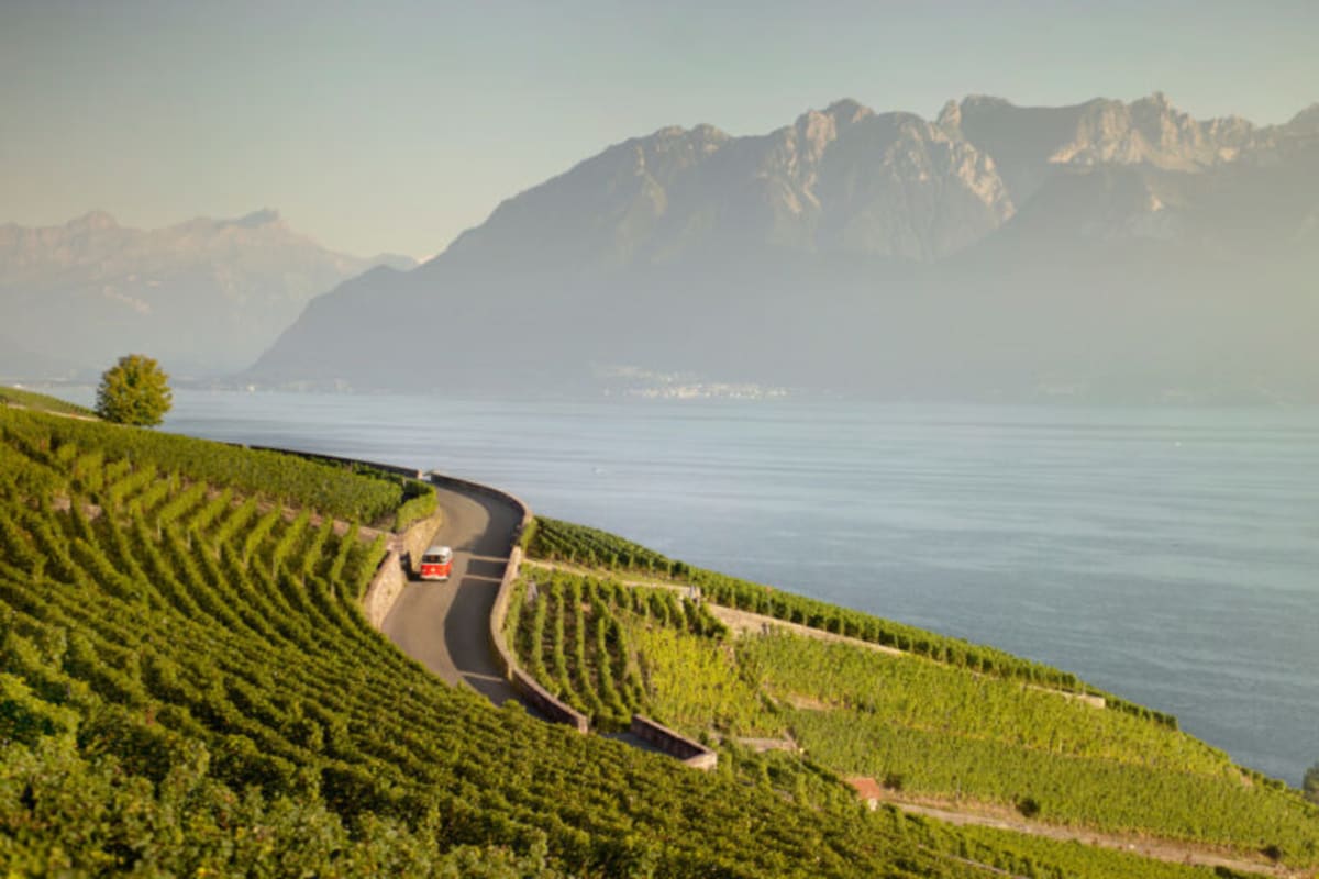 undefined - © Le bus vintage dans les vignes en Lavaux