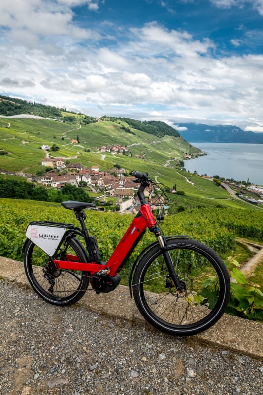 [Lausanne] Lavaux-2 - © [Lausanne] Lavaux-2