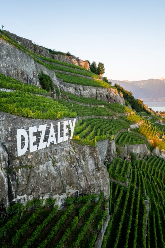 [Lausanne] Lavaux_2-9 - © [Lausanne] Lavaux_2-9