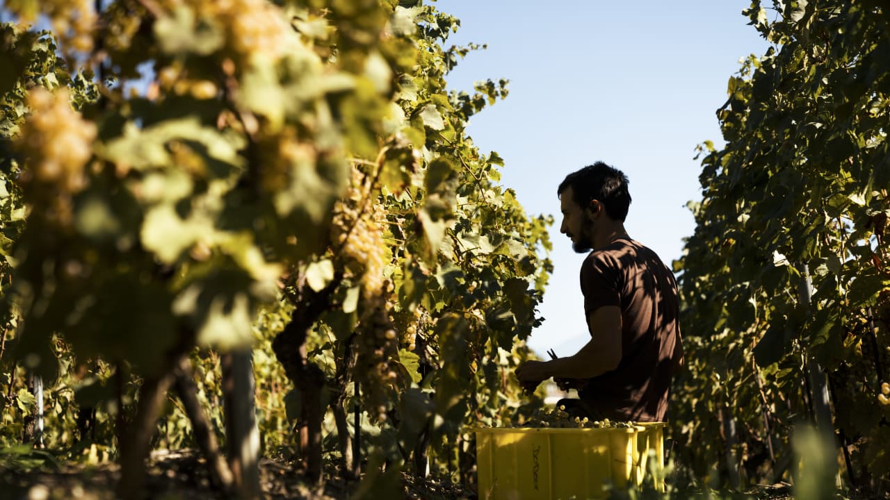 Lausanne and sustainability