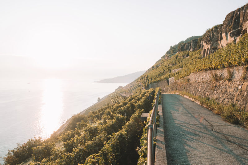 La magie de Lavaux - © 