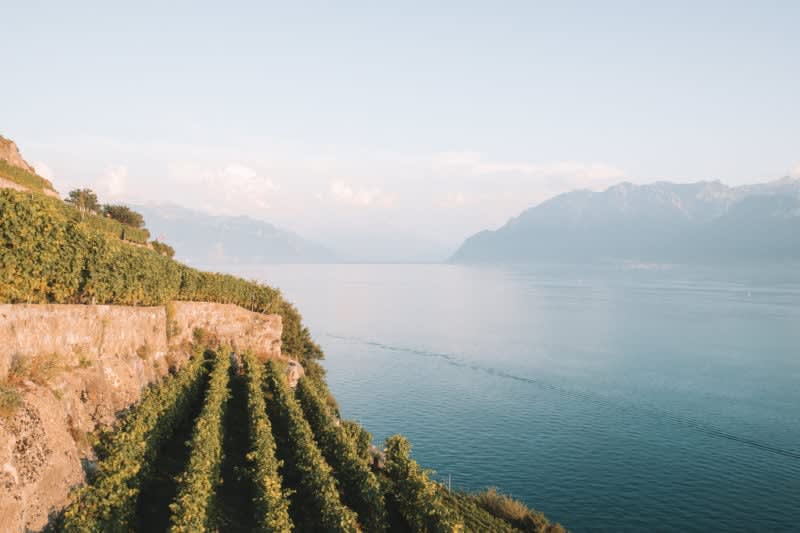 La magie de Lavaux - © 