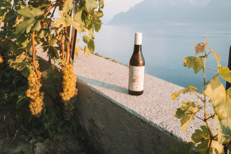La magie de Lavaux - © 