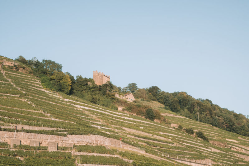 La magie de Lavaux - © 