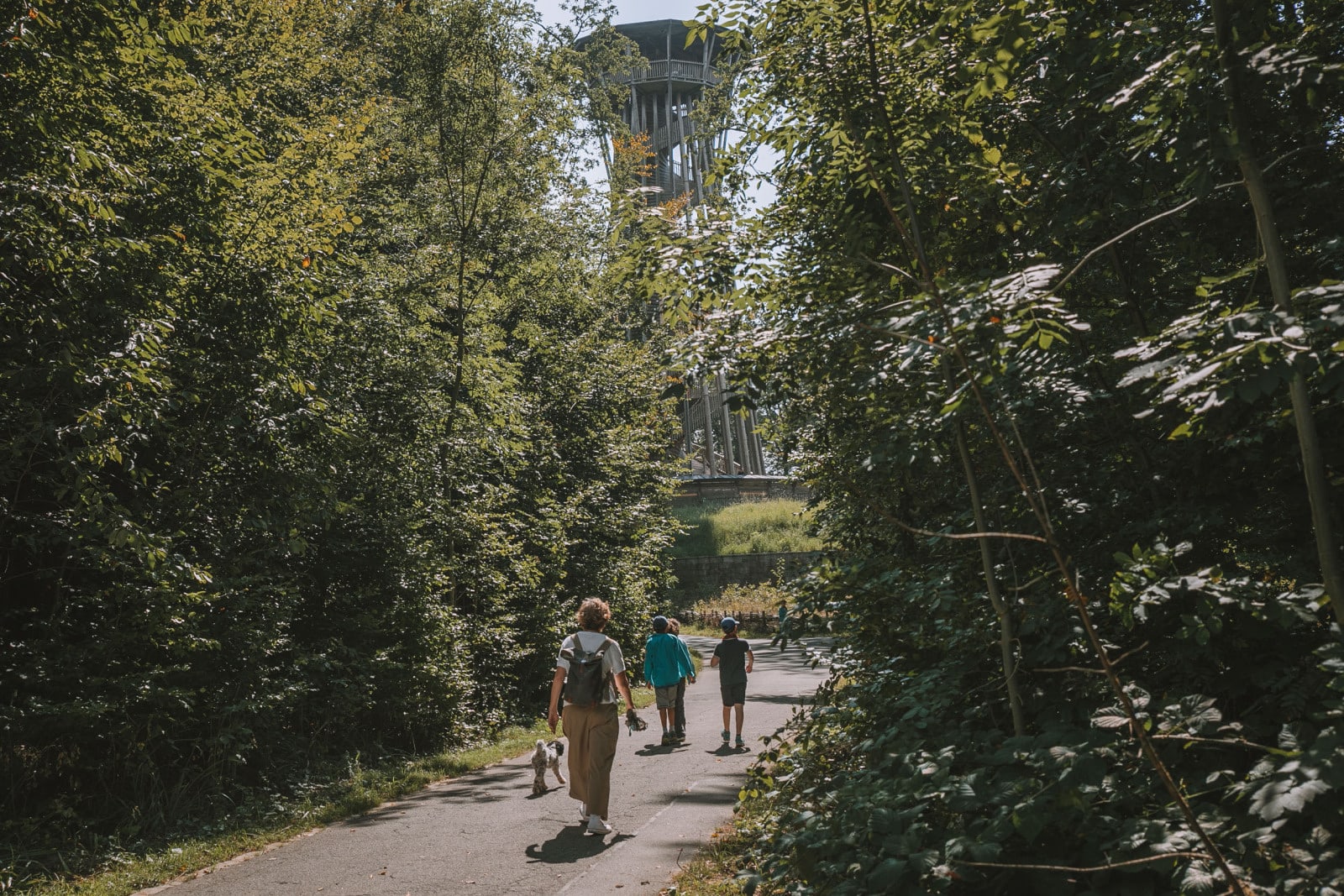 Lausanne et le sport : ça match ! - © Foret et Tour de Sauvabelin