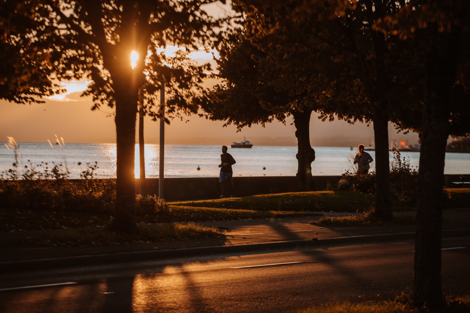 Des activités gratuites à Lausanne ? Par ici ! - © 