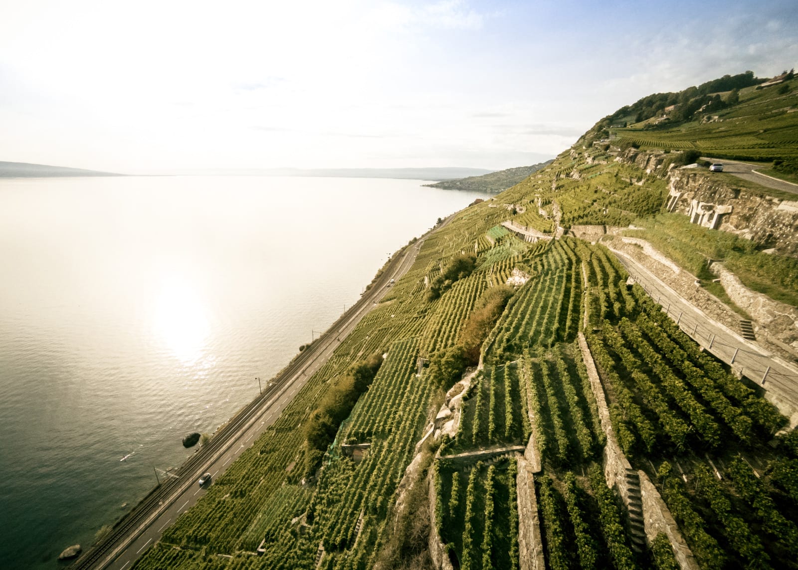 La magie de Lavaux - © Vue sur le Lavaux la vigne et le lac Leman