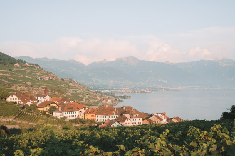 La magie de Lavaux - © 