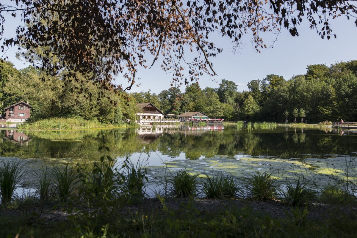 Mes balades revigorantes préférées à Lausanne - © Vue sur la Pinte depuis le lac de Sauvabelin