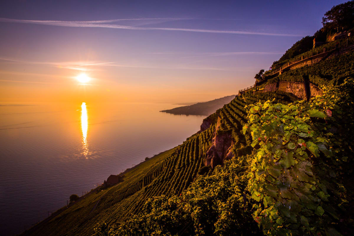 Où admirer le coucher du soleil à Lausanne ? - © 