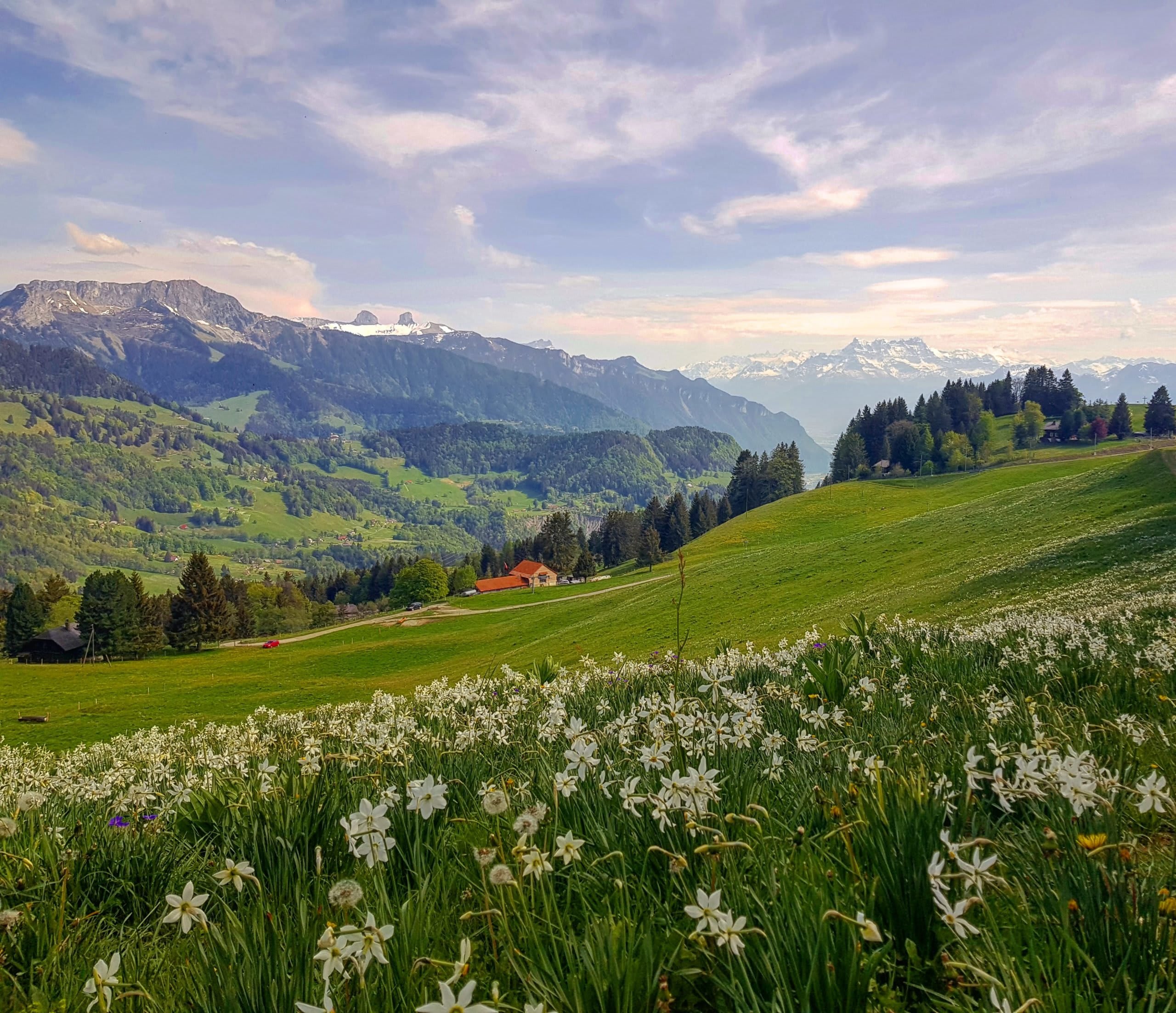 Nos randonnées préférées au départ de Lausanne - © 