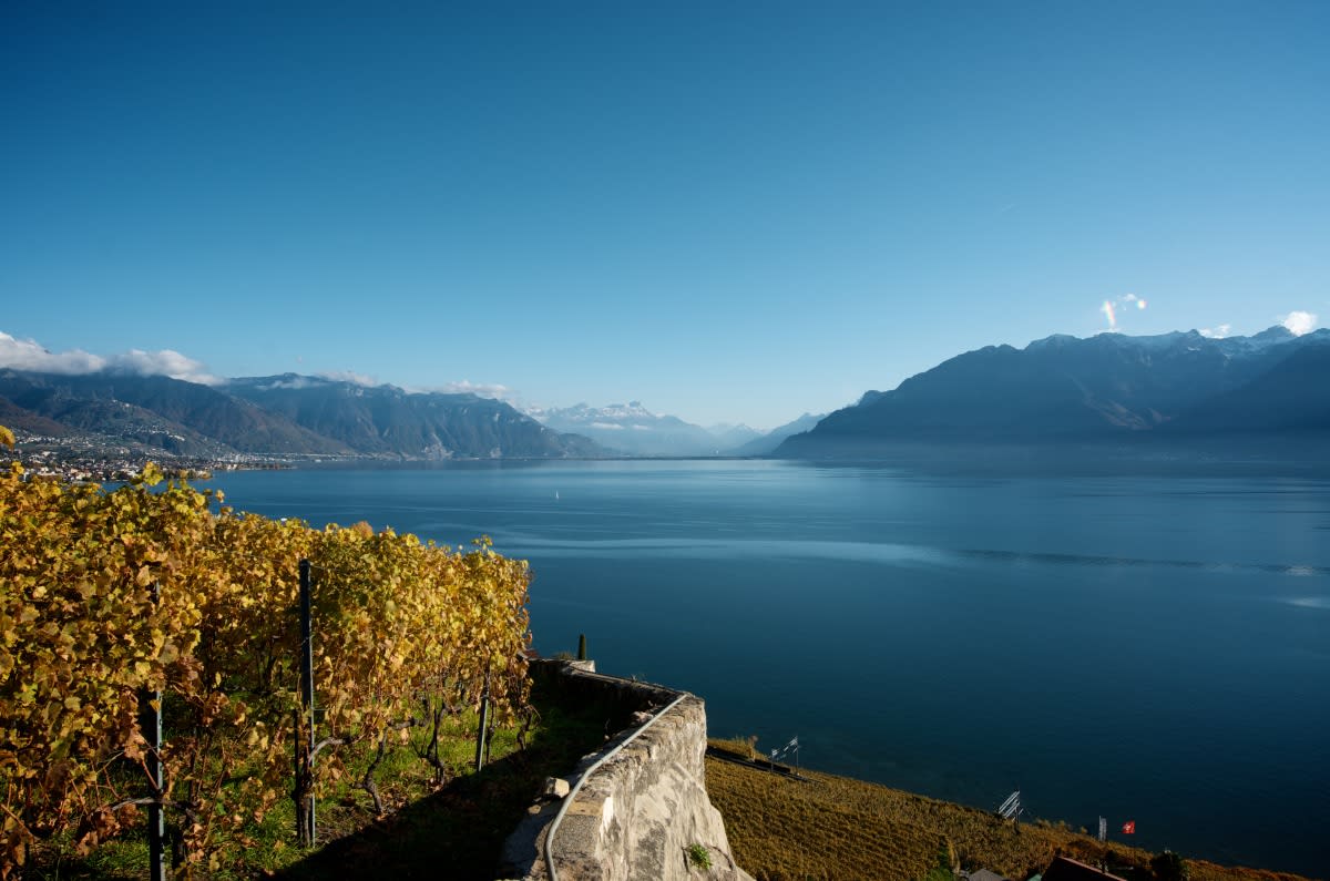 Mes balades revigorantes préférées à Lausanne - © Vue sur le lac et les montagnes