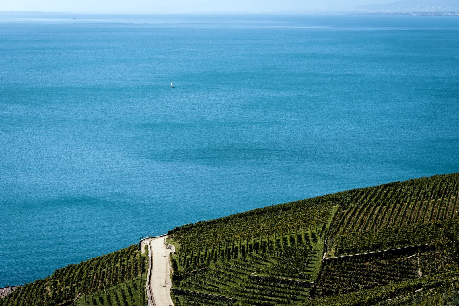 Lac Léman vue du Lavaux - © Switzerland Tourism / Lorenz Richard