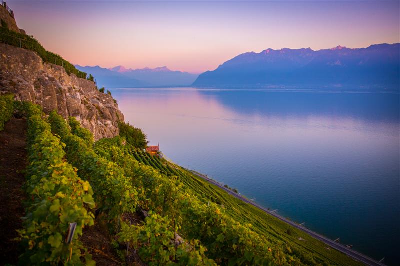 Lausanne, Cité thermale - © 