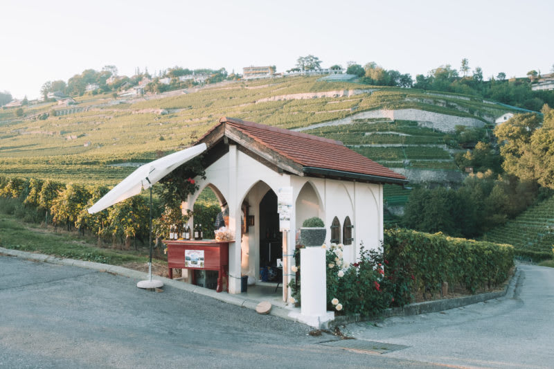 La magie de Lavaux - © 