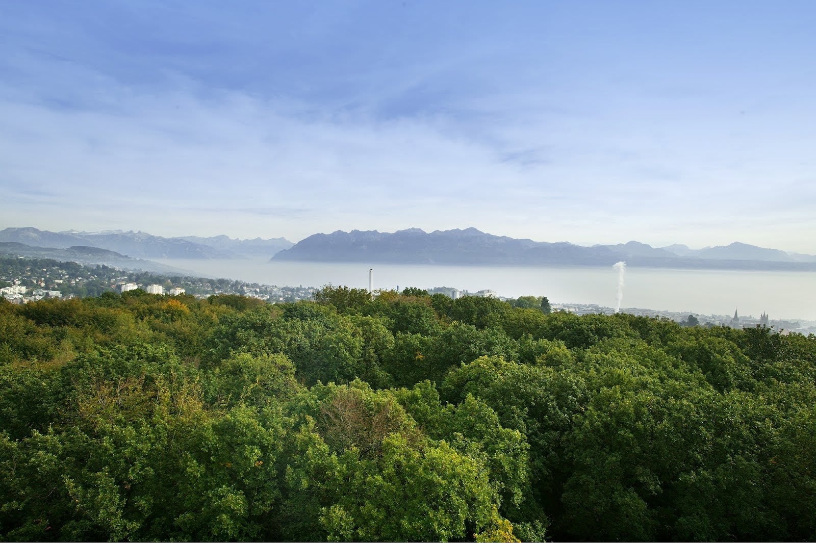 Des activités gratuites à Lausanne ? Par ici ! - © Panorama depuis la Tour de Sauvabelin