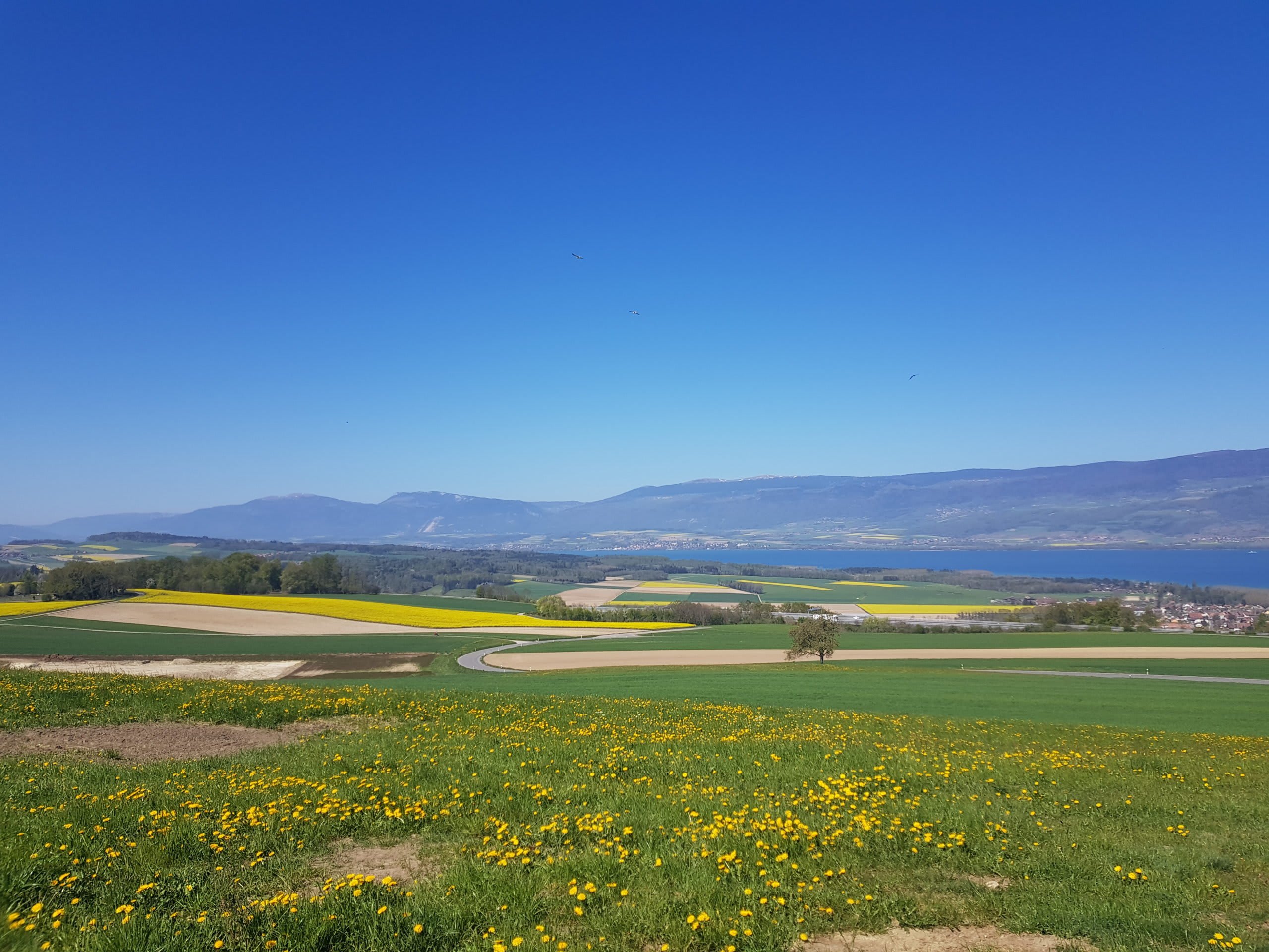 Nos randonnées préférées au départ de Lausanne - © 