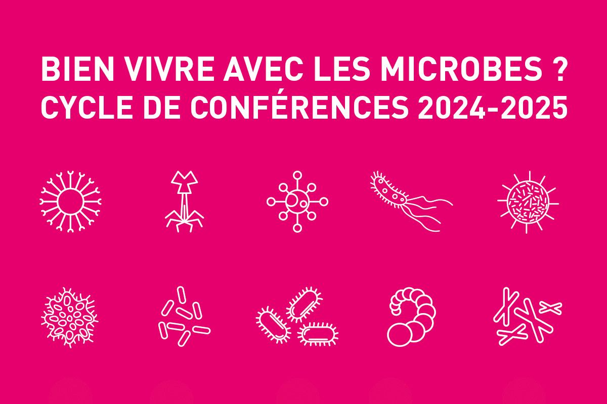 « Microbes et sols, terres vivantes »