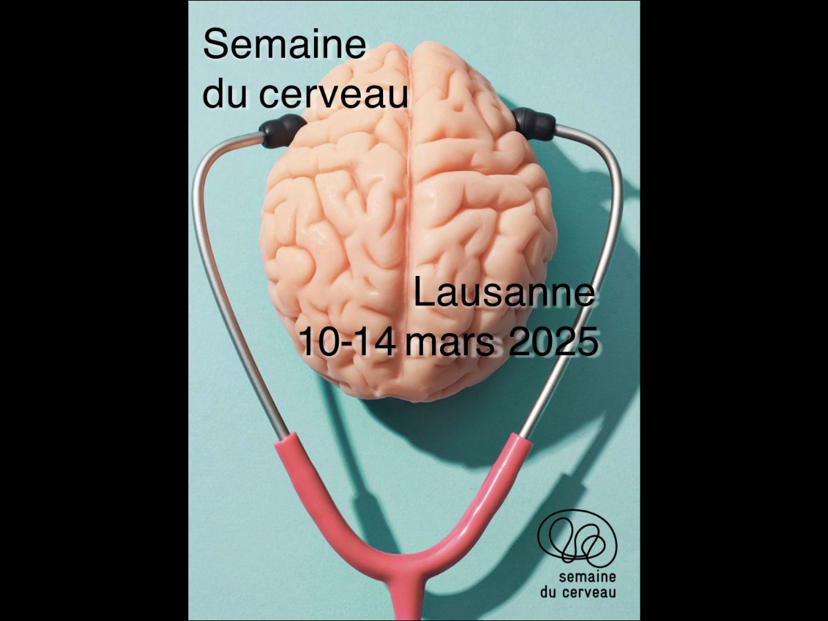 « La Fabuleuse Maison du Cerveau » pour les 8-10 ans