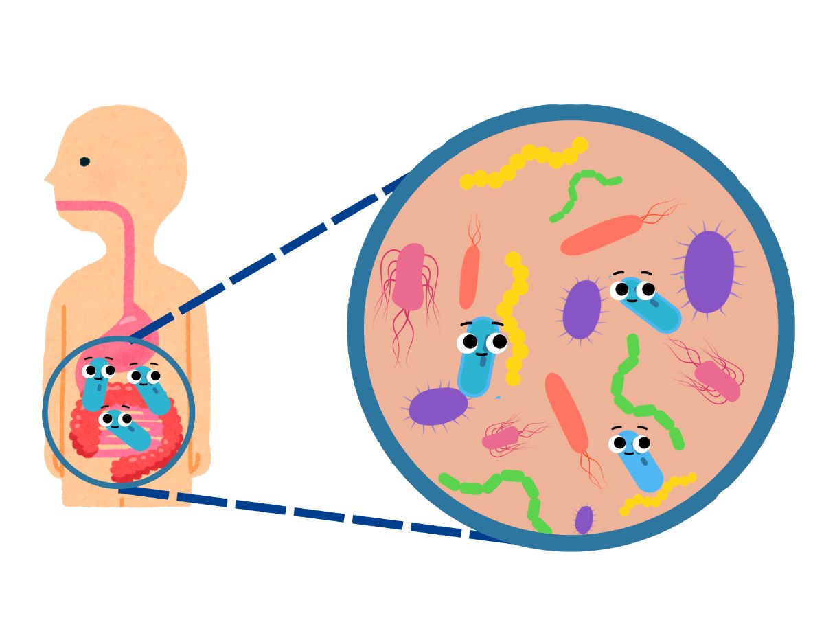 « Planète Microbes » pour les 6-8 ans