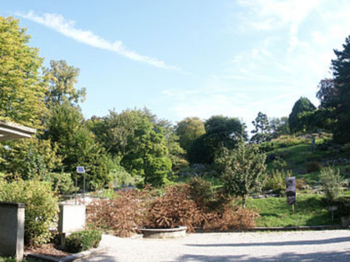 Du Palais au Jardin