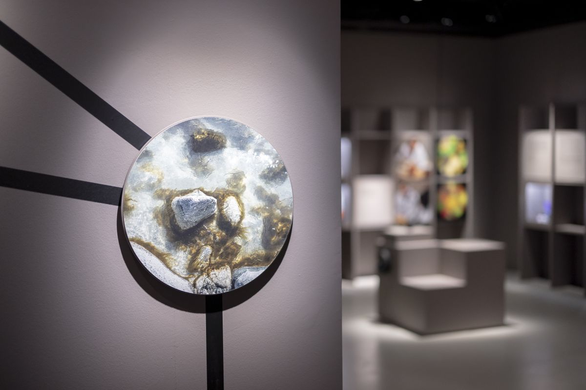 Visite guidée gratuite de l'exposition "Invisibles. La vie cachée des microbes"