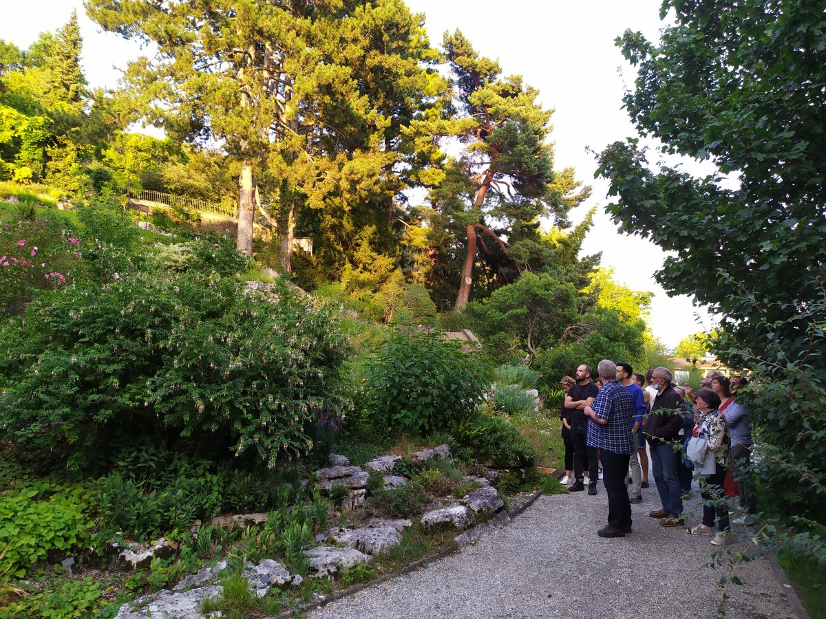 Tour auf Deutsch - Botanischer Garten