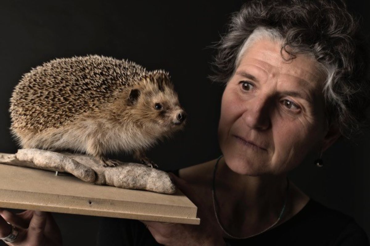 Soirée au Musée - Spectacle "Le taxidermiste"