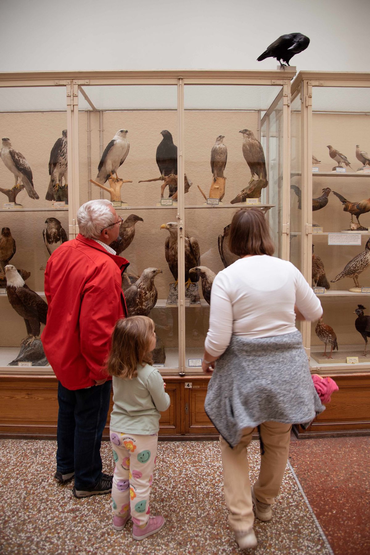 Samedi animalier - visite thématique