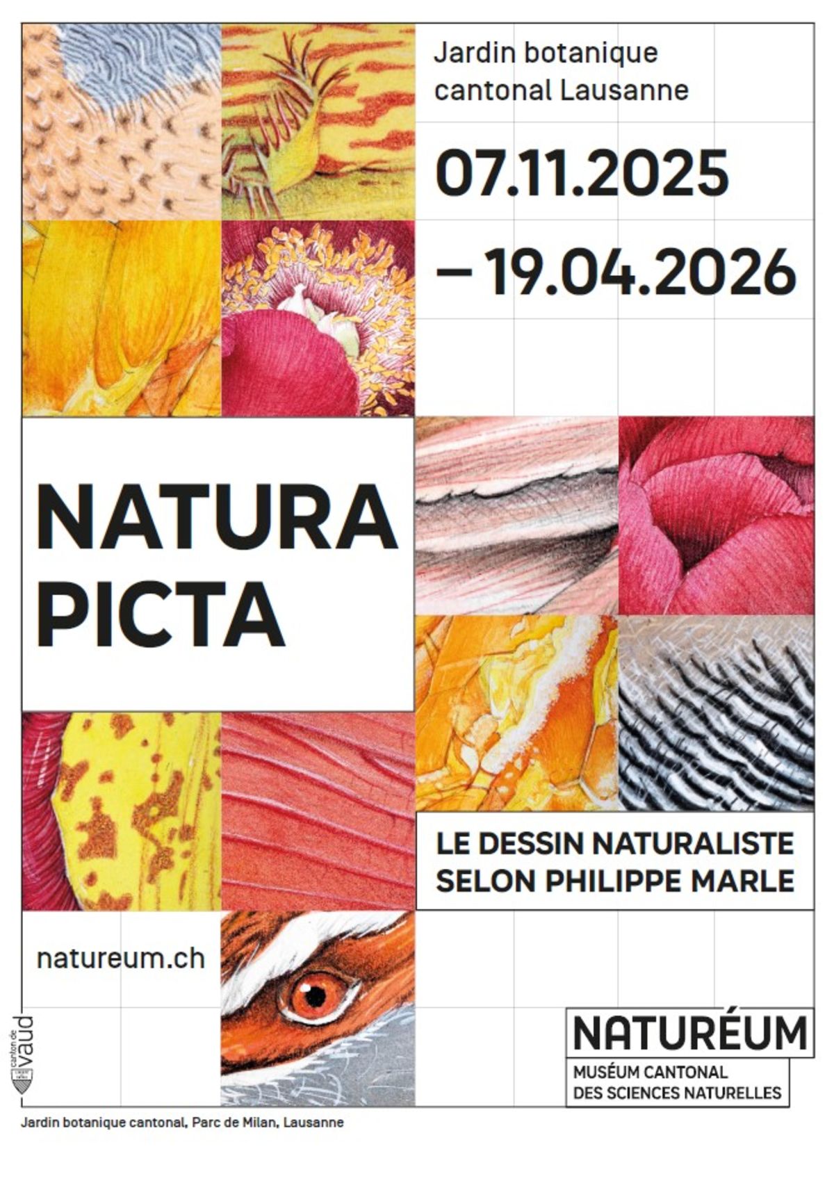 Vernissage de l'exposition "Natura Picta"