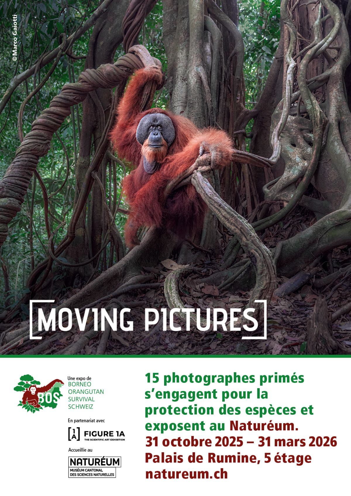 Samedi animalier - visite th&eacute;matique