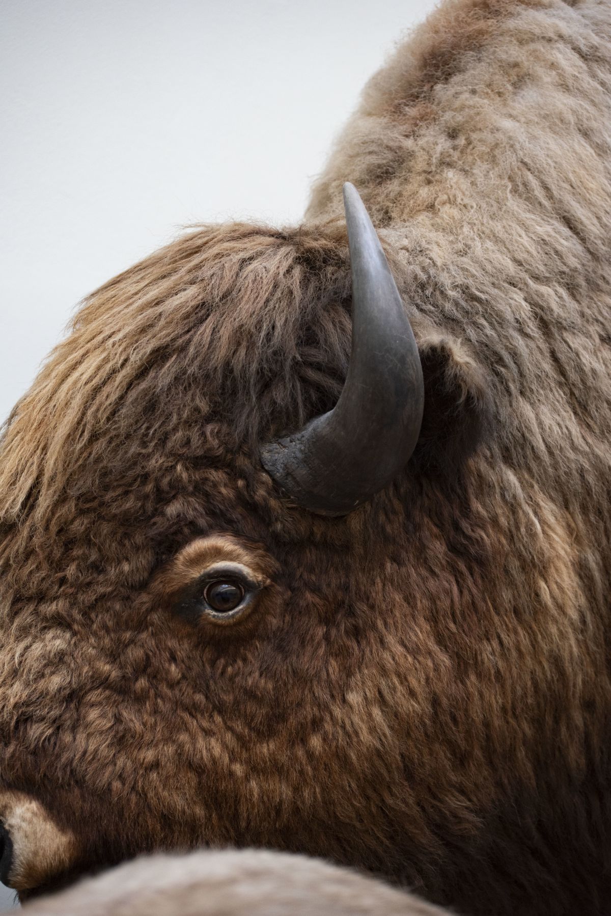 Soir&eacute;e au Mus&eacute;e - Atelier d'&eacute;criture