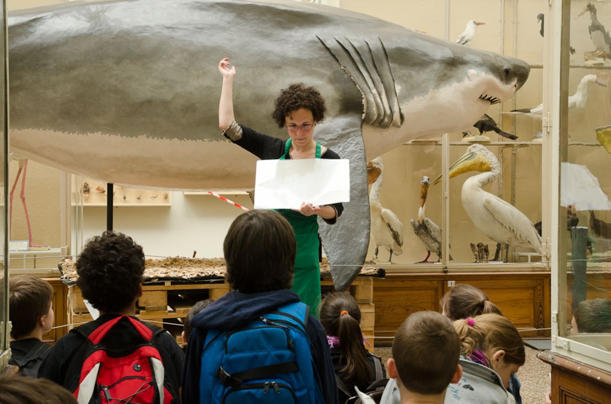 Atelier pour enfants - Petits pas au Natur&eacute;um
