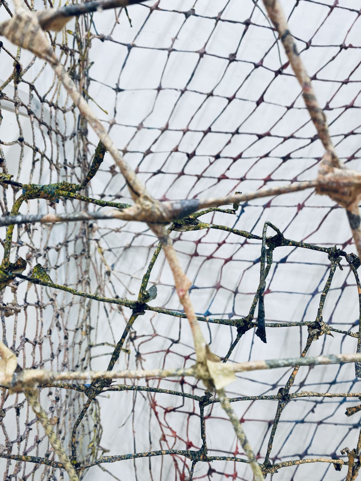 Atelier d'artiste avec Sophie Bouvier Ausl&auml;nder