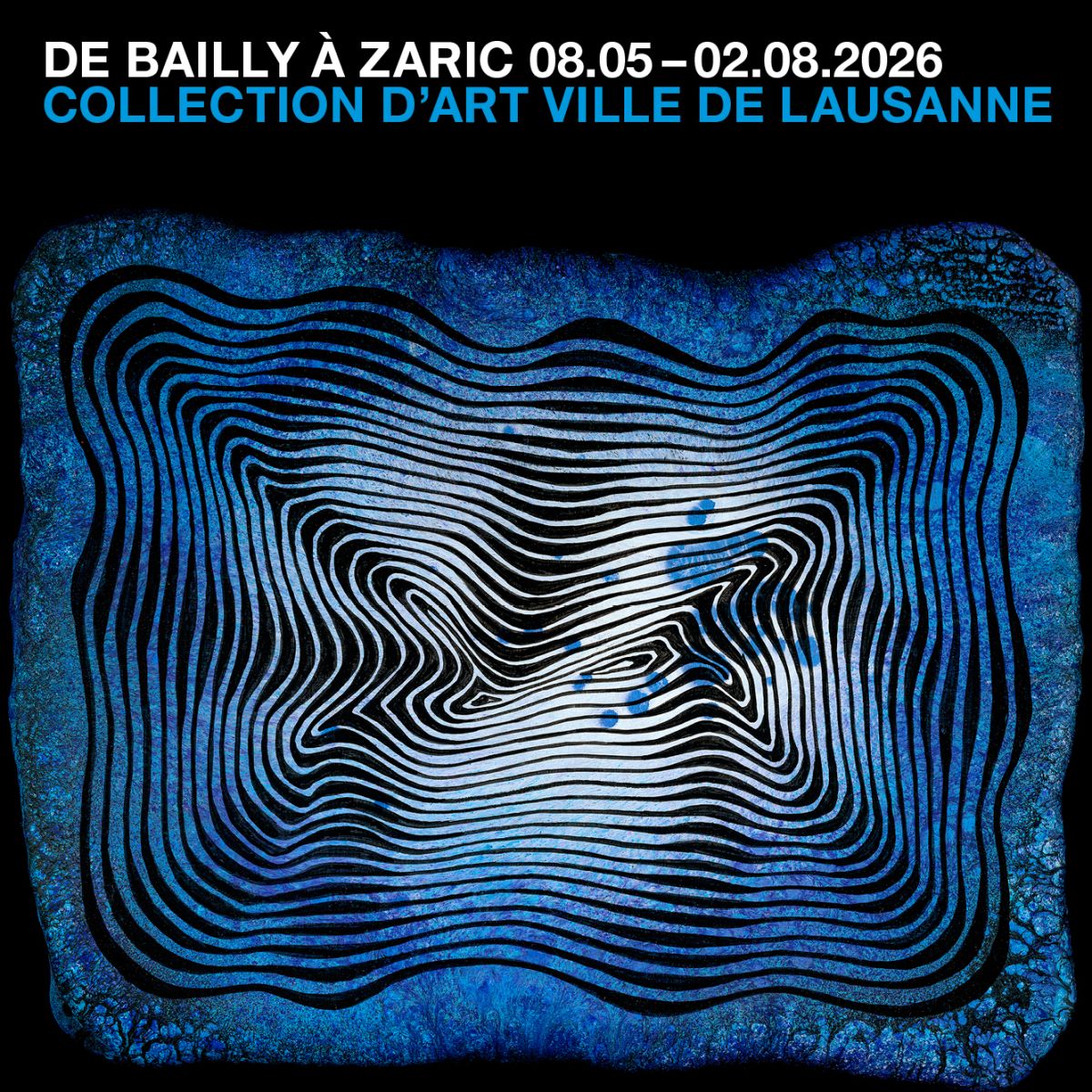 Vernissage : De Bailly &agrave; Zaric. Collection d'art Ville de Lausanne