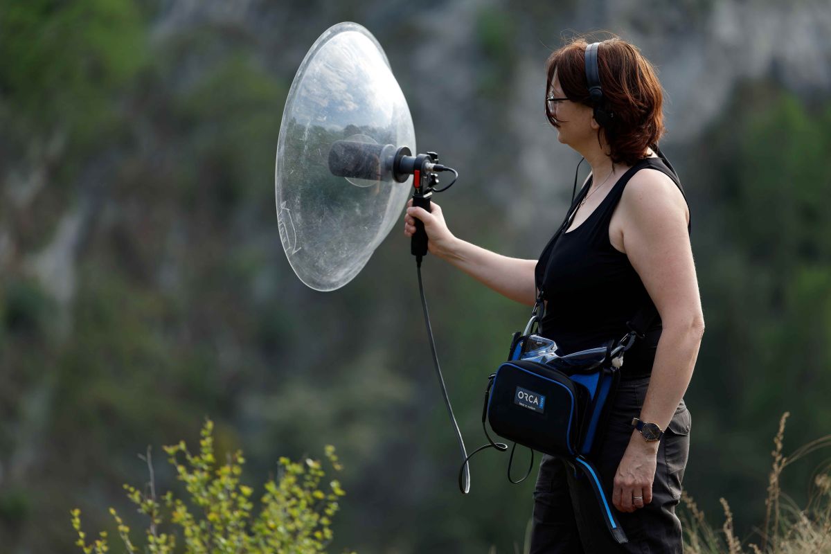 Performance sonore