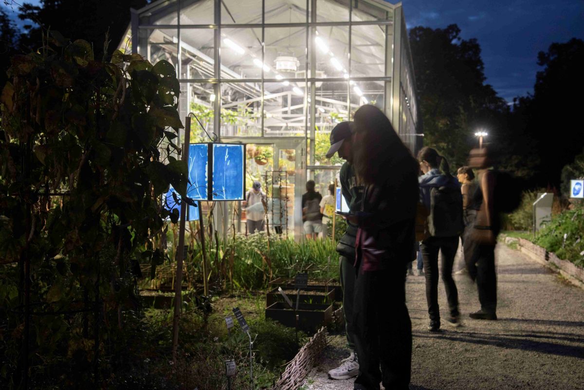 Soir&eacute;es au Jardin - Ecouter comme une chauve-souris