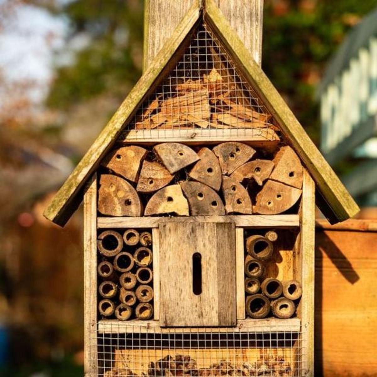 Atelier hôtel à insectes