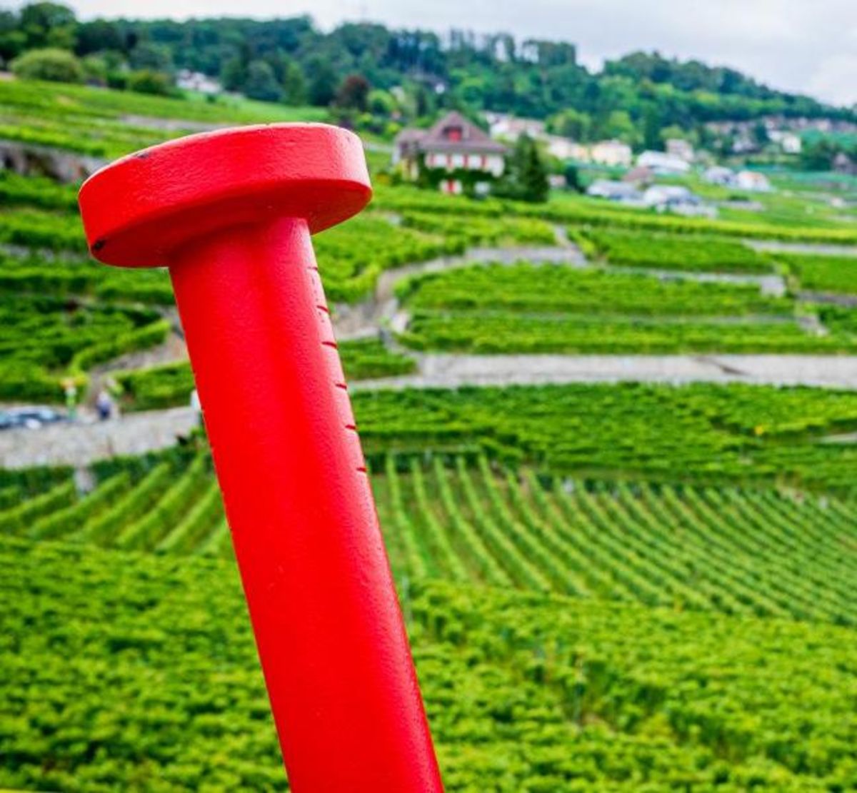 Le Clou rouge honore Lausanne Jardins