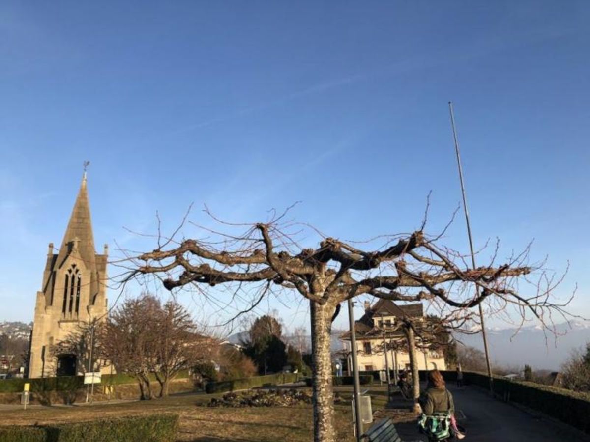 Carillon pour la Saint-Nicolas