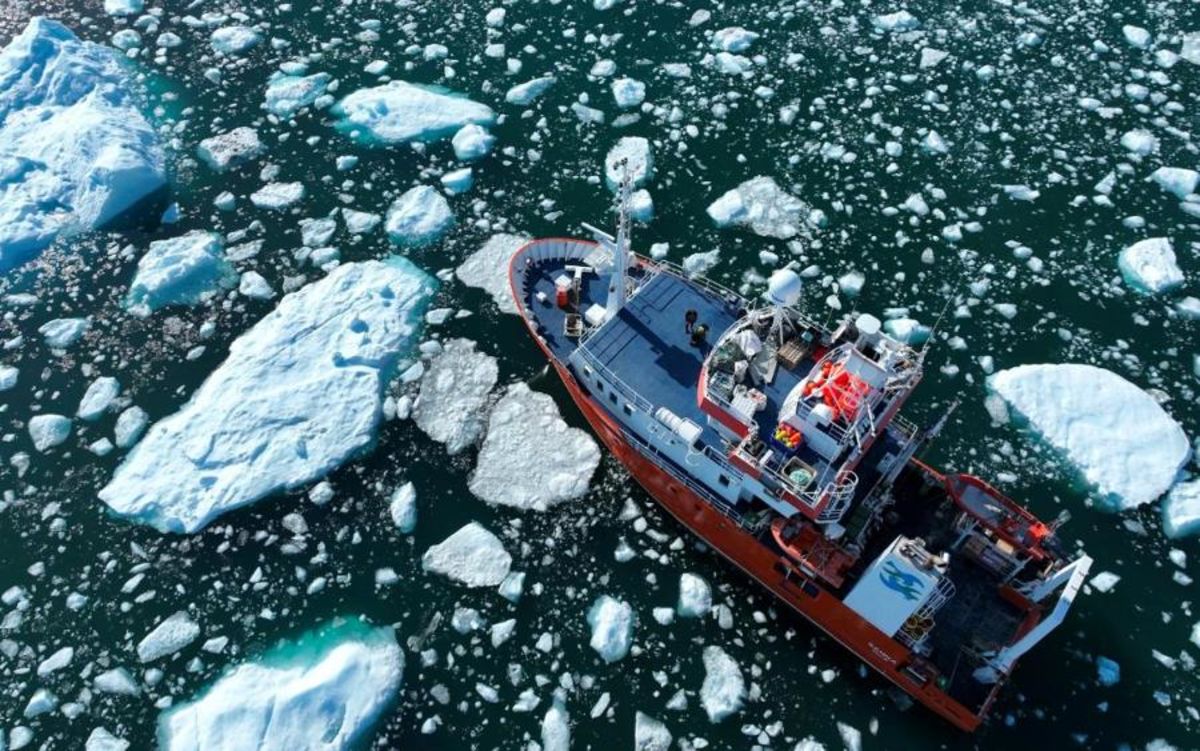 Impacts du changement climatique sur le fonctionnement des fjords au Groenland